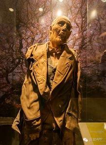 娱乐吃瓜酱毛骨悚然,揭秘毛骨悚然的幕后真相 第1张 娱乐吃瓜酱毛骨悚然,揭秘毛骨悚然的幕后真相 第1张