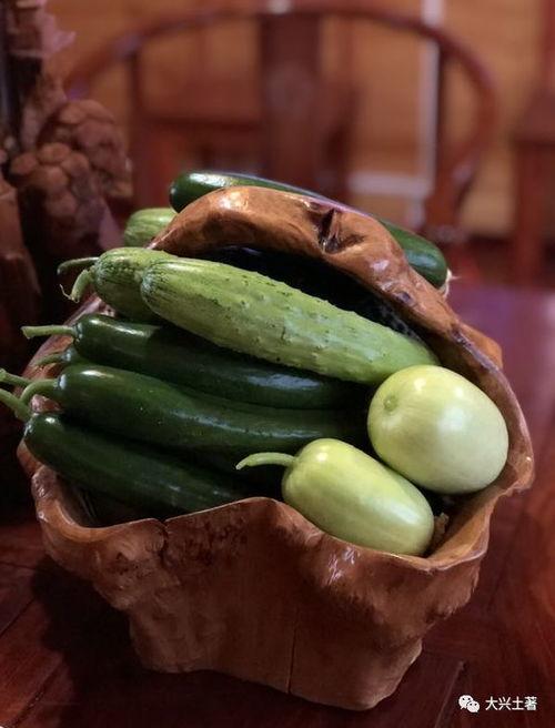 瓜瓜吃瓜网红,揭秘网红界的“瓜王”传奇 第2张 瓜瓜吃瓜网红,揭秘网红界的“瓜王”传奇 第2张